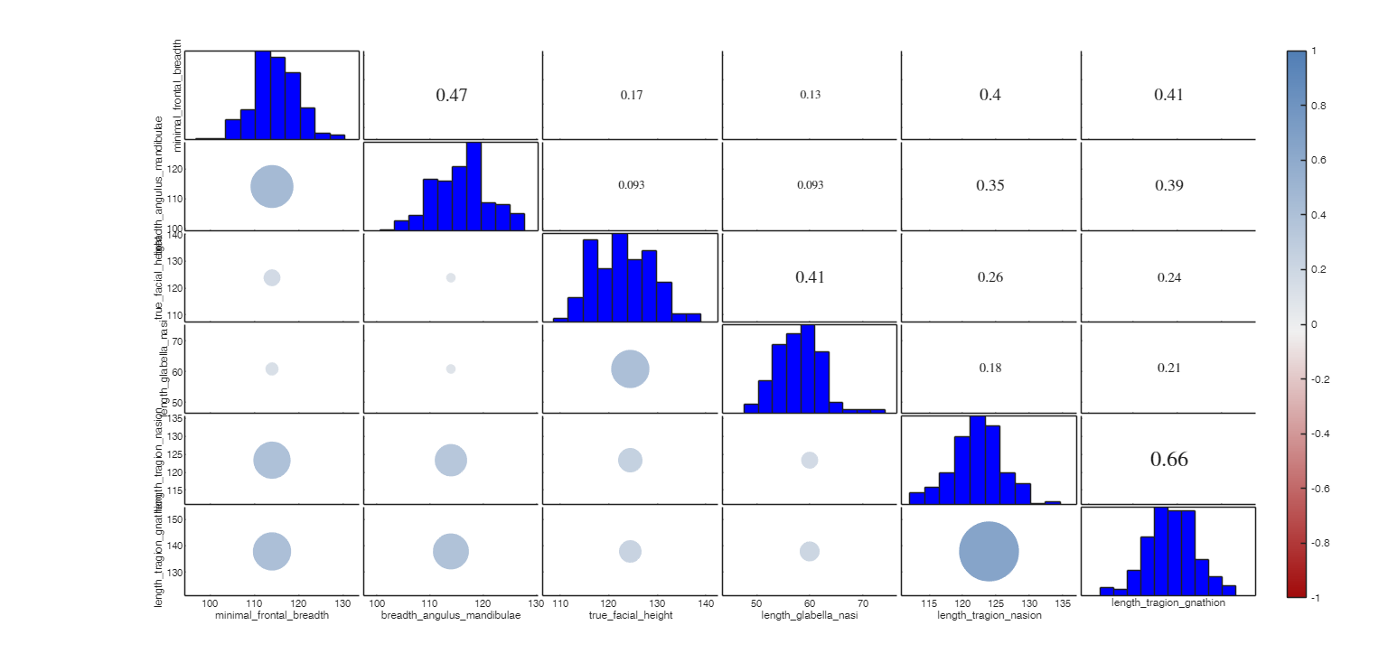 Click here for the graphical output of this example (link to Ro.S.A. website)
